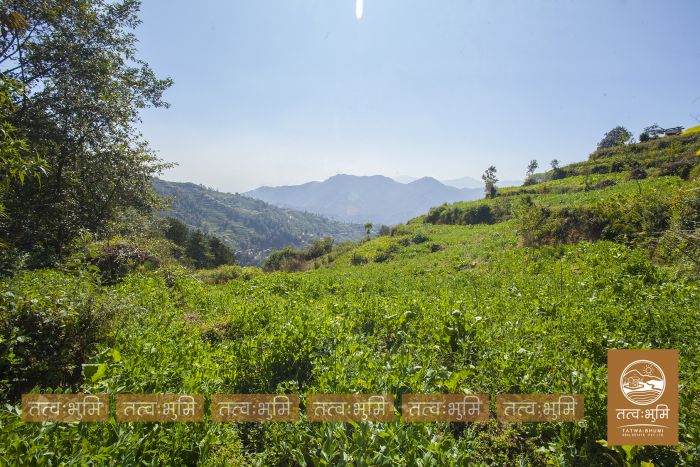 1 Ropani Land On Sale at Okharpauwa, Nuwakot