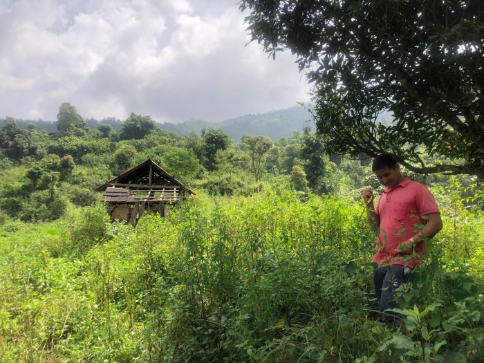 Commerial/Agricultural land  for sale in Nawalparasi