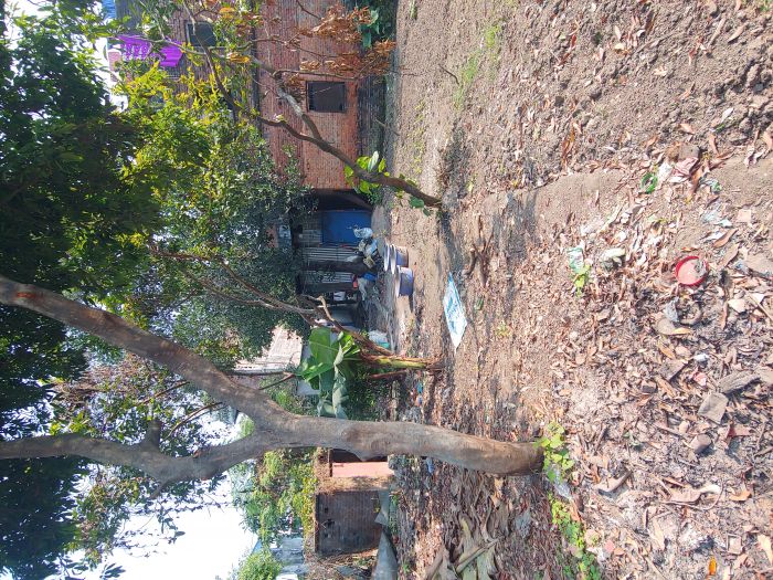 Cmmercial - Narayangarh Bharatpur-3 Chitwan