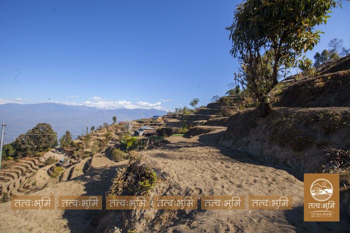 10 Ropani Land On Sale at KhariBhanjyang , Nuwakot