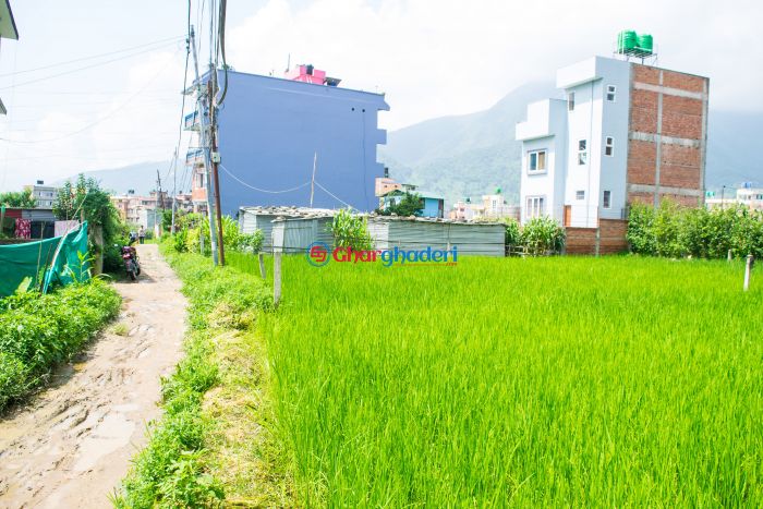 10 anaa 2 paisa ghaderi land for sale in Kirtipur Kathmandu