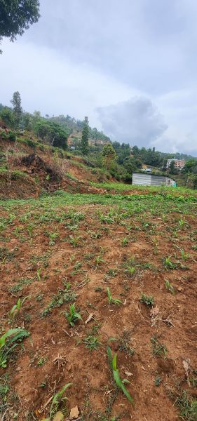 1 Ropani 4 Land Plots For Sale – Dhachowk, Thankot, Kathmandu