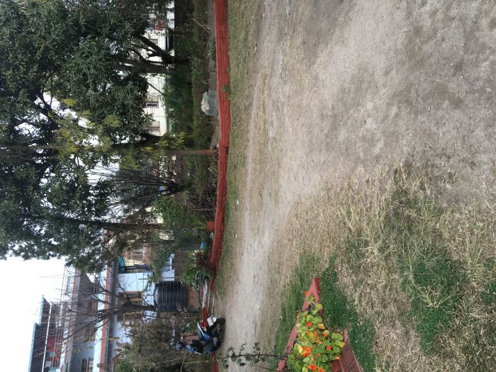 Land sale at Sifal Height