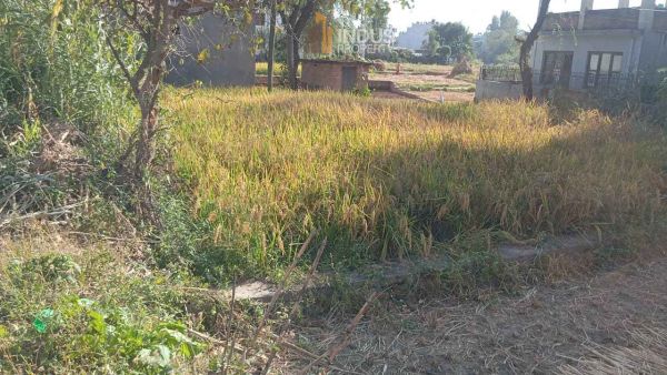 Land on sale at Changathali, Lalitpur