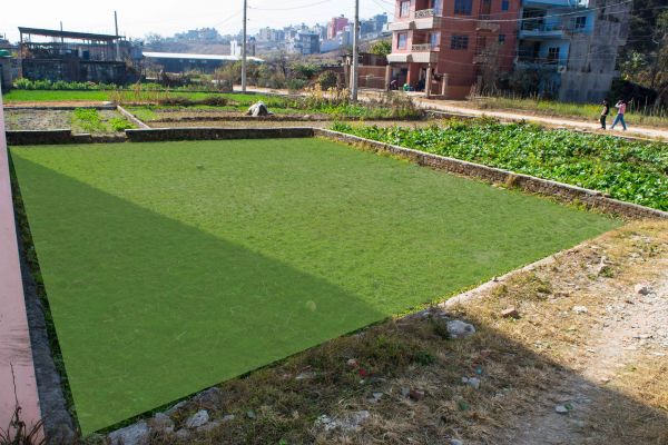 4.5 aana land for sale in Tokha Kathmandu