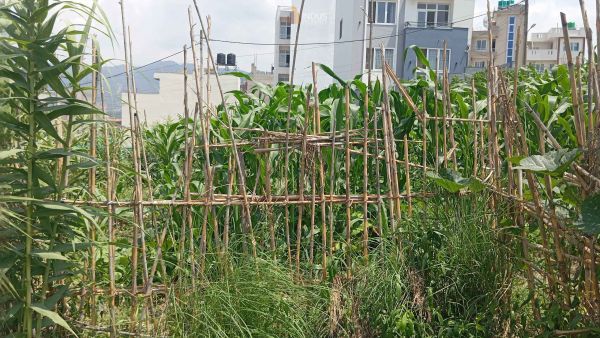 Land on sale at Sanagau, Lalitpur Land on sale at Sanagau, Lalitpur