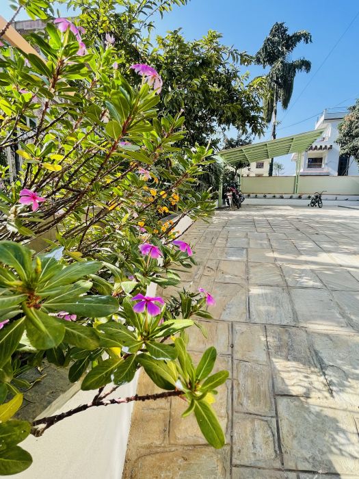 1BHK & 2BHK Apartment Rent at Boudha