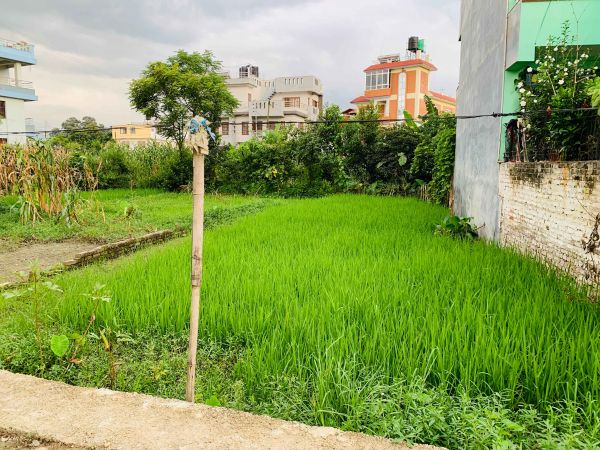 5 Aana land on sale at extremely low price in Bhaisepati, Lalitpur.