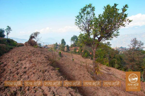 6 Ropani Land On Sale at KhariBhanjyang , Nuwakot.