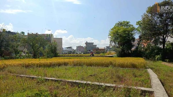 Land On Sale at Changathali Near Border of Balkot