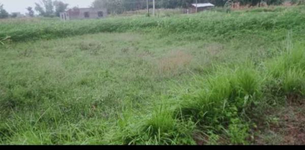 Land for sale Land for sale