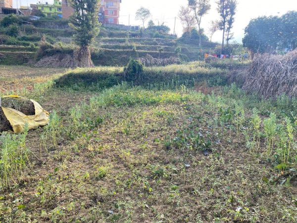 land on sale