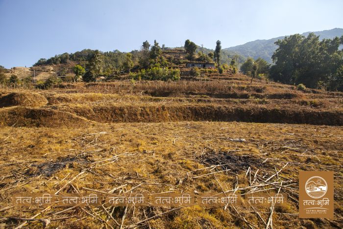 9 Ropani Land On Sale at KhariBhanjyang , Nuwakot