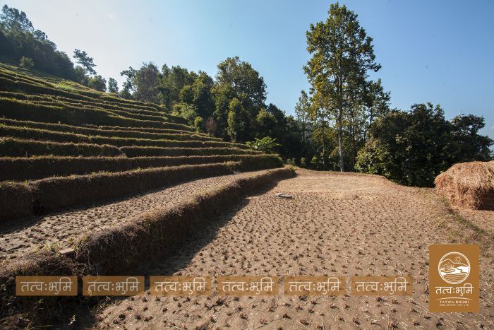 35 Ropani land for sale Katheri, Nuwakot.