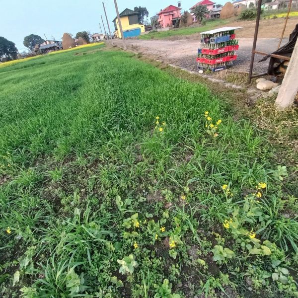 1 katha land for sale in Gitanagar Bharatpur