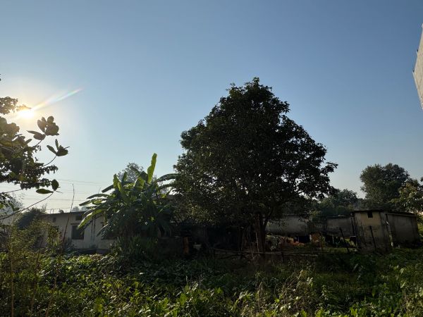 Land and house sell on Dhangadi 1 puspalalchwok 