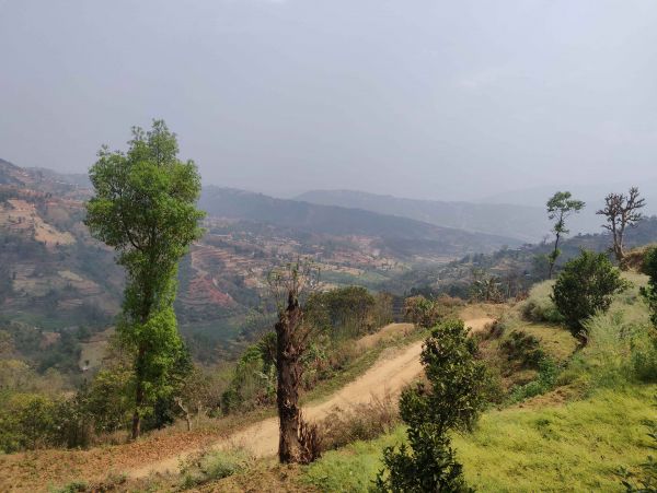 60 Ropani Land for rent in NamoBuddha