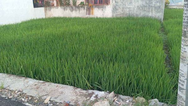 Land on sale at Balkot, Bhaktapur