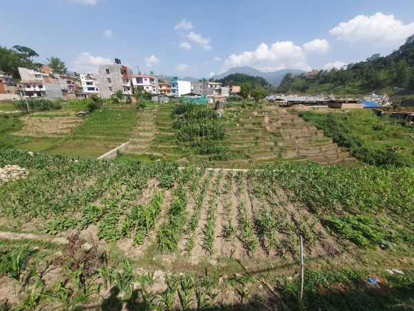 LAND FOR SALE IN THAIBA,LALITPUR @ NPR 21 LAKH LAND FOR SALE IN THAIBA,LALITPUR @ NPR 21 LAKH