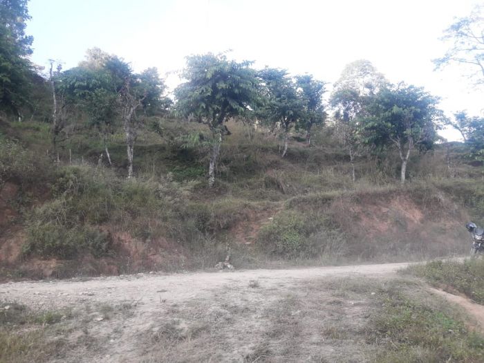 Krishi Prayojan ko lagi ati upayogi jagga bikri ma chha /