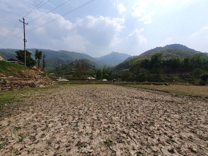 6 Ropani 8 Ana land on Sale at Sherabagar, Nuwakot