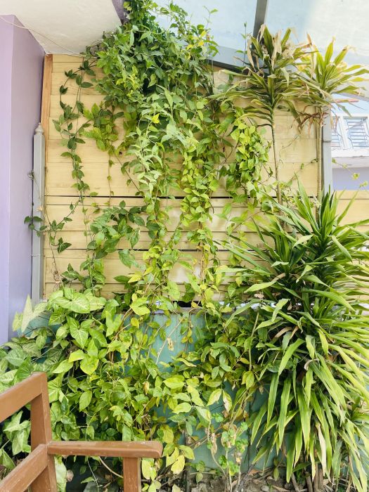 1BHK & 2BHK Apartment Rent at Boudha