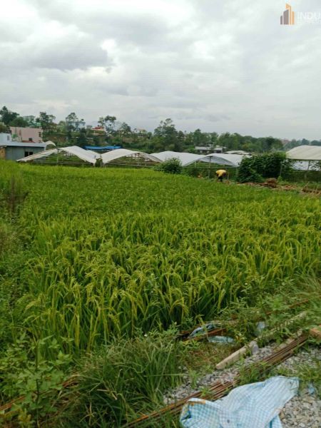 Land On Sale at Lubhu, Lalitpur