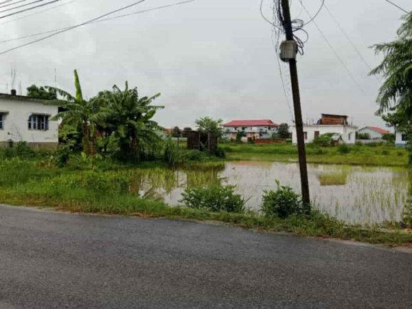 Land for Sale - Surunga, Jhapa; 1 Kattha @ 68.5 Lakh Land for Sale - Surunga, Jhapa; 1 Kattha @ 68.5 Lakh