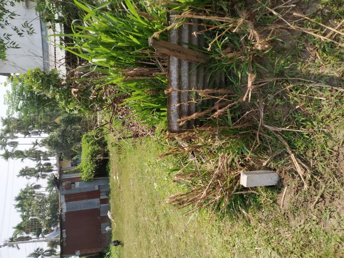 Land for sale, Bhadrapur-07, Jhapa