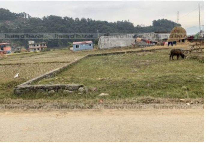 Land sale Sisuwa pokhara