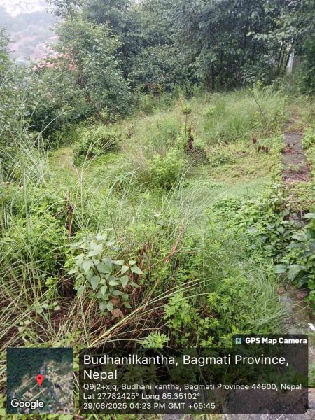 Land on Sale in Budhanilkantha Bisnu Height