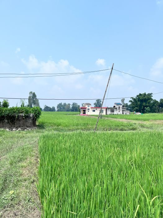 1/2 Kathha Land in Geta location for sale at 2000000