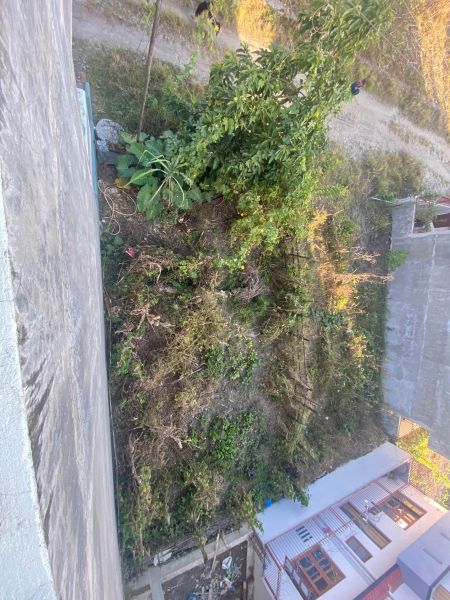 Jarankhu 2.5aana land 20ft road