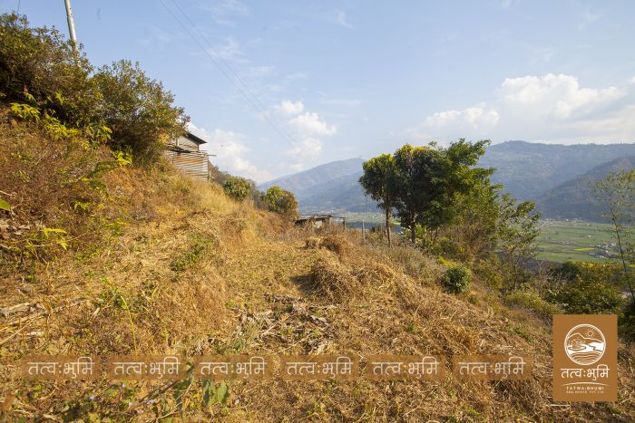 15 Ropani Land On Sale at Phedibeshi, Nuwakot.