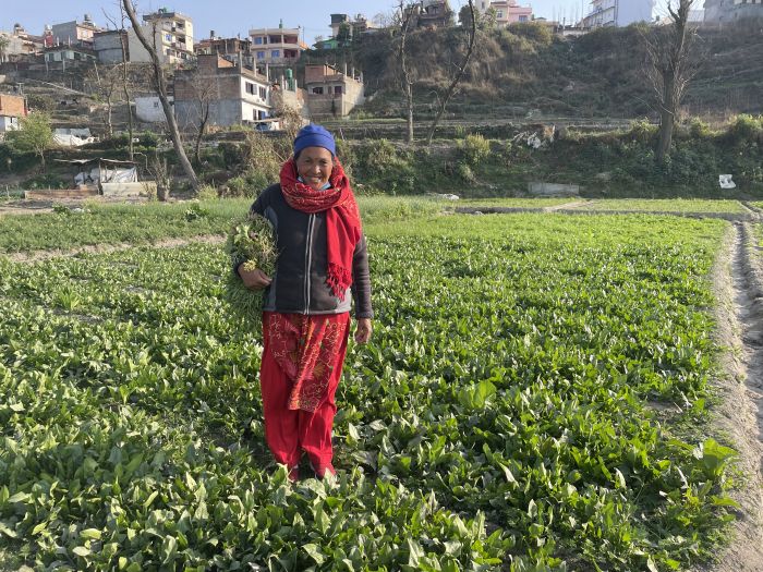 Land  between pepsicola and sanothimi