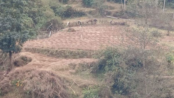 Land For Sale near Ashapuri Temple Suryabinayak