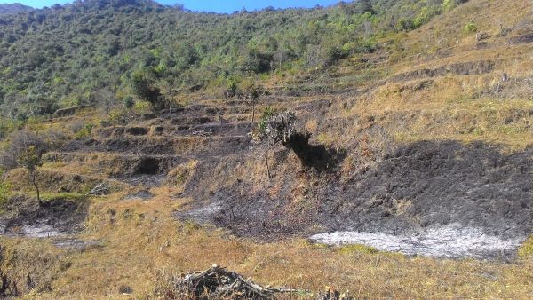 Land at Suryachaur for Sale - 13 Ropani 6 anna