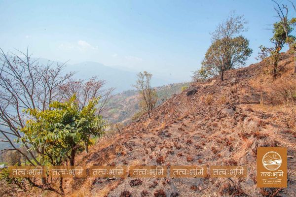 12 Ropani land for sale Kabilash, Nuwakot.