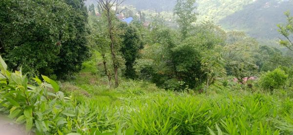 Land in the queen of hills kanyam,ilam
