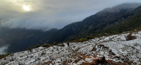 Land at Suryachaur for Sale - 13 Ropani 6 anna