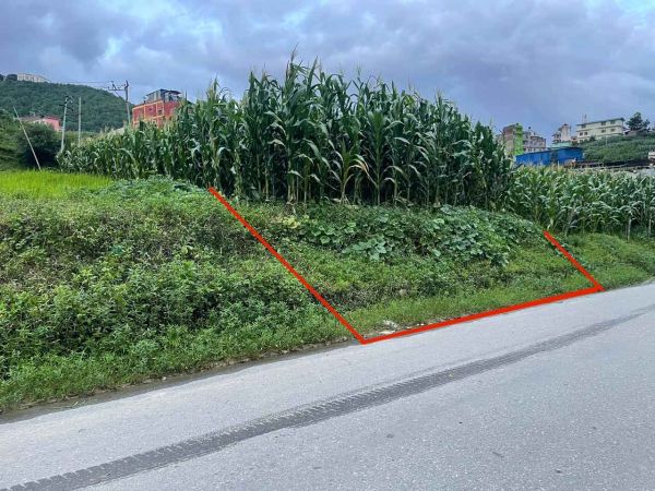 Land for sale in dadapauwa ramkot, south facing, (0-8-2-1), per anna 34.5 lakhs, 20ft black topped road access, Negotiable.